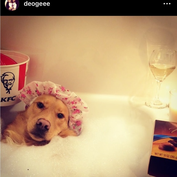 mystery prize box from DeeOgee ( D O G) customized to you . - Picture 2 of 11